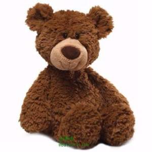 GUND Pinchy 棕色小熊毛絨玩具 43cm*3 