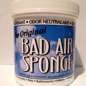 Bad Air Sponge 甲醛污染空气净化剂 907g Prime会员凑单免费直邮含税