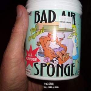 网易考拉海淘：Bad Air Sponge 甲醛污染空气净化剂 400g*2罐