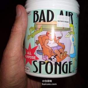 Bad Air Sponge 甲醛污染空氣凈化劑 400g*2罐