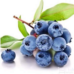 限地区，山东特产 蓝莓鲜果125g*6盒