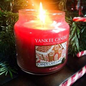 Yankee Candle 扬基蜡烛 瓶装香薰无烟蜡烛 糖果味 623g大瓶装 Prime会员凑单免费直邮