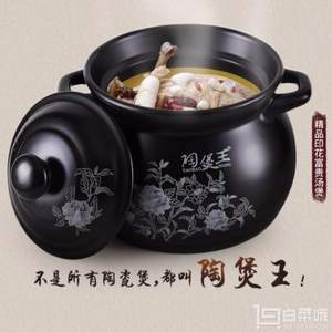 陶煲王 TB-1815X 家用燃?xì)馍板?2.6L