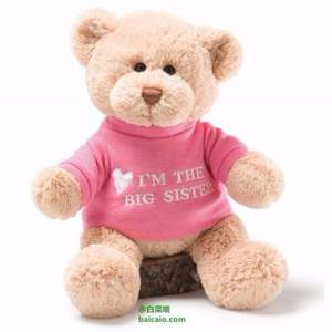 Gund 毛絨泰迪熊 30cm