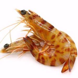 聚福鲜 塞内加尔 斑节虾1kg 60-80只