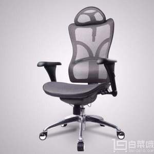 <span>菜油专享团！</span>松林 享耀家 SL-F8 3D背部全贴合人体工学椅 送台湾产锁定轮1套