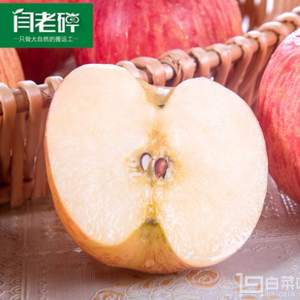 天猫商城：闫老碎 陕西洛川红富士苹果8斤（拍2份）