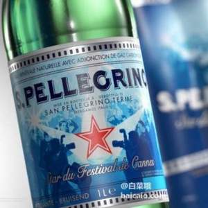 S.PELLECRINO 圣培露 充气天然矿泉水 500ml*24瓶