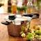 Fissler 菲仕樂(lè) Vitavit Premium系列 6L壓力鍋 