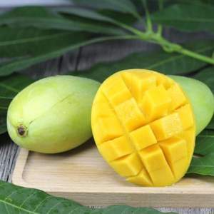 果翡  越南進(jìn)口 新鮮玉芒青芒果 5斤