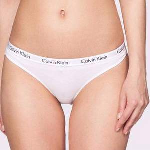 Calvin Klein 女士纯棉比基尼内裤 3条礼盒装 2色