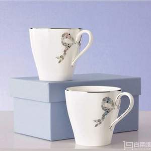 天貓雙11價(jià)￥450，Narumi 鳴海Felicita系列馬克杯2只裝 Prime會(huì)員免費(fèi)直郵含稅