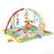 Fisher Price 費(fèi)雪 FFX82 皮皮歡樂(lè)學(xué)習(xí)健身器