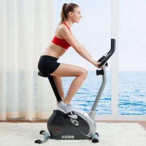 SUNNY HEALTH&FITNESS 家用坐式磁控健身车 SF-B910/SF-P8200 2色
