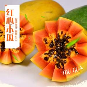 卓上 廣西紅心木瓜8斤