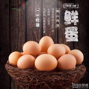 狼山散養(yǎng)土雞蛋 24枚