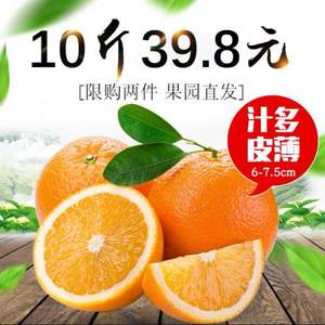 新宁崀山 纽荷尔脐橙10斤 