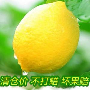 雷蒙 四川安岳新鲜黄柠檬大果5斤