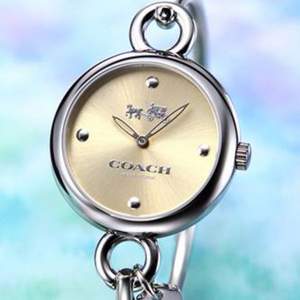 Ashford：Coach 蔻馳 Hangtag系列 14502689 女士時(shí)尚腕表 $99