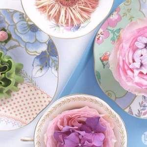 Wedgwood 玮致活 花间舞蝶20厘米盘四件组 Prime会员免费直邮含税