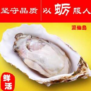 瀛仙島 野生帶殼鮮活生蠔 新鮮海蠣子4斤