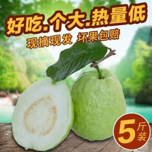 果悟 广东新鲜番石榴5斤