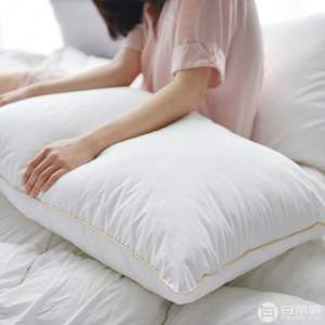 網(wǎng)易嚴(yán)選 升級(jí)款可水洗舒柔絲羽絨枕 一對(duì)裝
