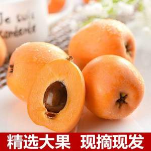 檬想 四川龍泉新鮮大五星枇杷 3斤