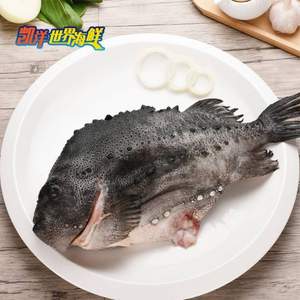 凱洋世界海鮮 去砂無磷冰島海參斑 3~4斤