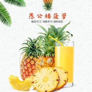 自然链 徐闻愚公楼大菠萝5斤