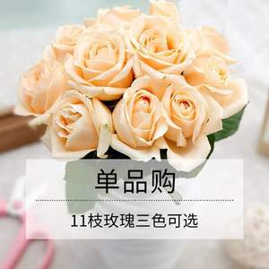 爱唯一 玫瑰鲜花速递 11支 多色可选