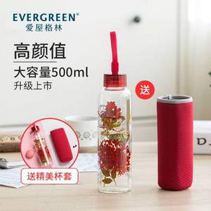 Evergreen 愛屋格林 創(chuàng)意印花耐熱玻璃杯500ml 多色 送精美杯套