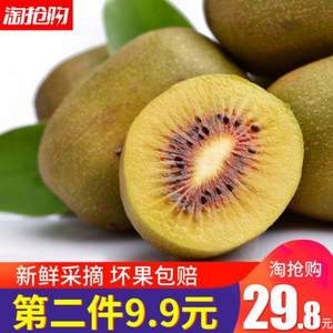 常枫 四川蒲江红心猕猴桃24个大果（单果90~110g）