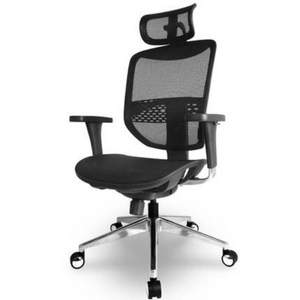 <span>今日结束，白菜！</span>享耀家 SL-T5 2019 新款人体工学椅电脑椅办公椅