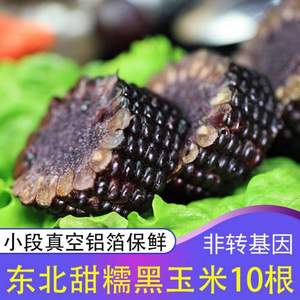 李豫龙 非转基因东北黑糯玉米10根1600g