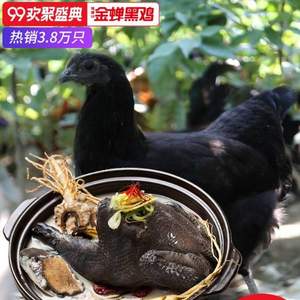 10點(diǎn)開始，緣琳山 金蟬大別山散養(yǎng)300天烏骨母雞 800g*2件