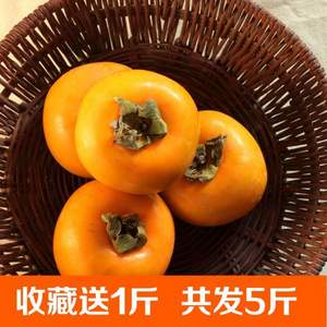 德品优 桂林恭城脆柿子5斤 约10~14个