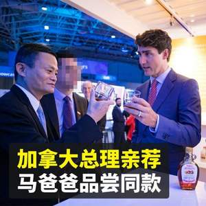 加拿大总理亲荐 PURNATUR 加拿大进口枫叶糖浆 1L家庭装 赠燕麦片1kg