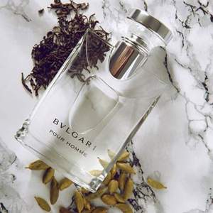 BVLGARI 宝格丽 大吉岭茶男士淡香水 极致版  100ml