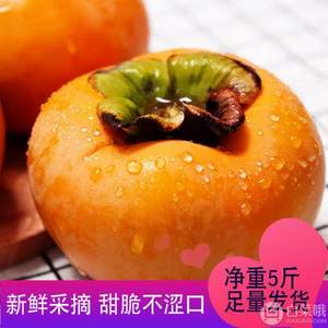 森尚 山西运城脆柿5斤  