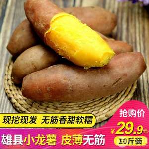 清悟源 农家自种红心小香薯 9斤
