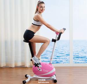 Sunny Health & Fitness 家用坐式磁控健身车