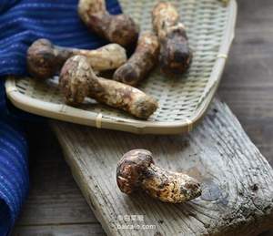 地圖炮系列，香格里拉特產(chǎn) 新鮮野生松茸500g 送黃油 ￥169.9包郵