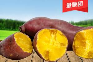 8月22日 天猫包邮白菜汇总贴