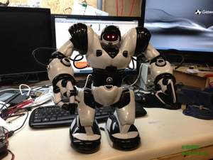 WowWee Robosapien X 遥控智能机器人 ￥321.25+240.15