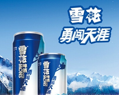 雪花啤酒 勇闯天涯500ml*8听 ￥26（买一送一）