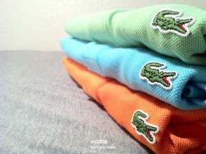 Amazon：Lacoste 法国鳄鱼 男士纯棉Polo衫 $44.99 到手￥300