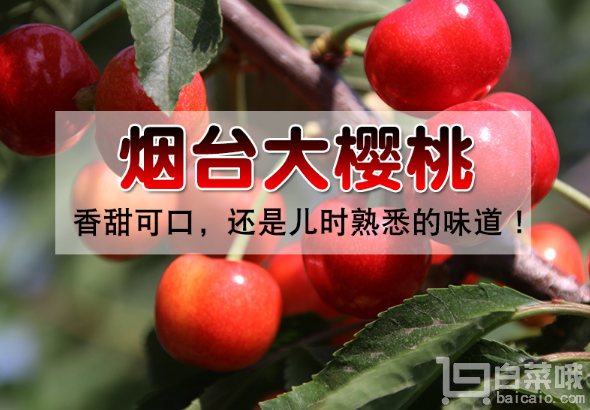 全家福 山东烟台红灯樱桃18~23mm 3斤￥42.9包邮（￥72.9-30）