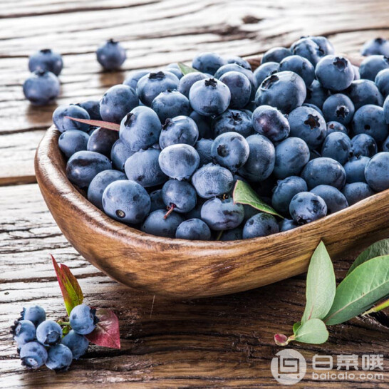 京东商城：智利进口新鲜蓝莓 125g*12盒*2￥218包邮（需用优惠券）