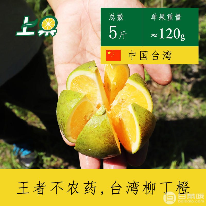 臺(tái)灣直供，上果 正宗臺(tái)灣東原柳丁橙 5斤￥23.8（￥48.8-25）